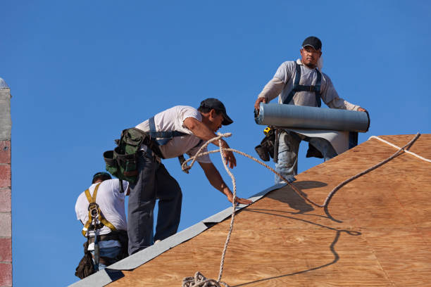 Quick and Trustworthy Emergency Roof Repair Services in Olympia, SC
