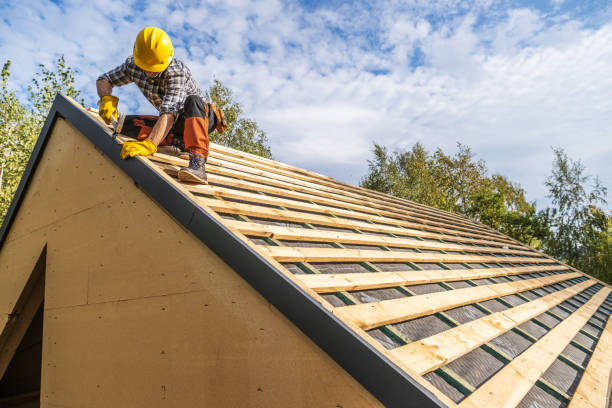 Roof Gutter Cleaning in Olympia, SC
